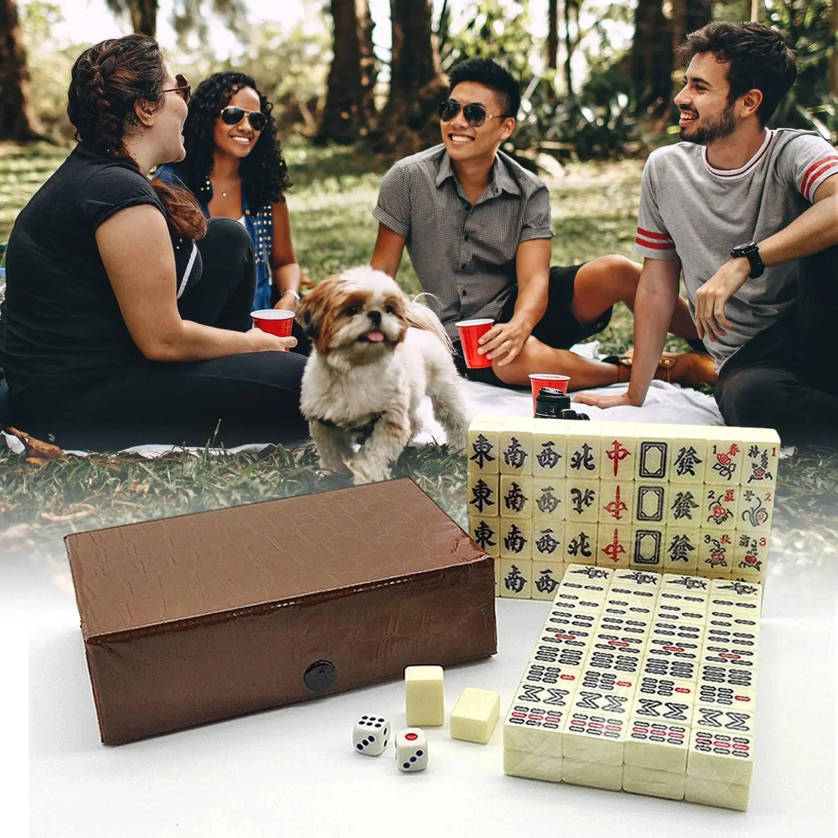 Travel Mahjong Set for Beginners, Engraved Tiles